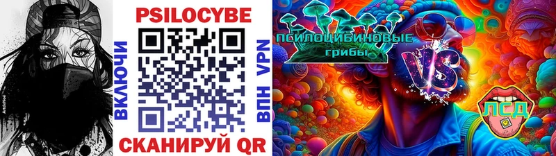 Галлюциногенные грибы Psilocybe  Новоузенск 